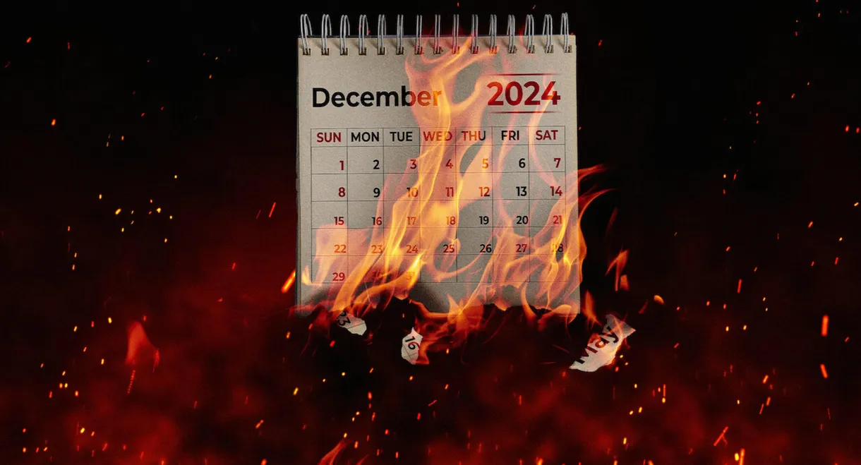 Torching 2024: A Roast of the Year