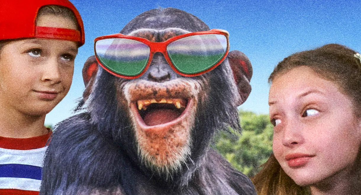 Monkey Business