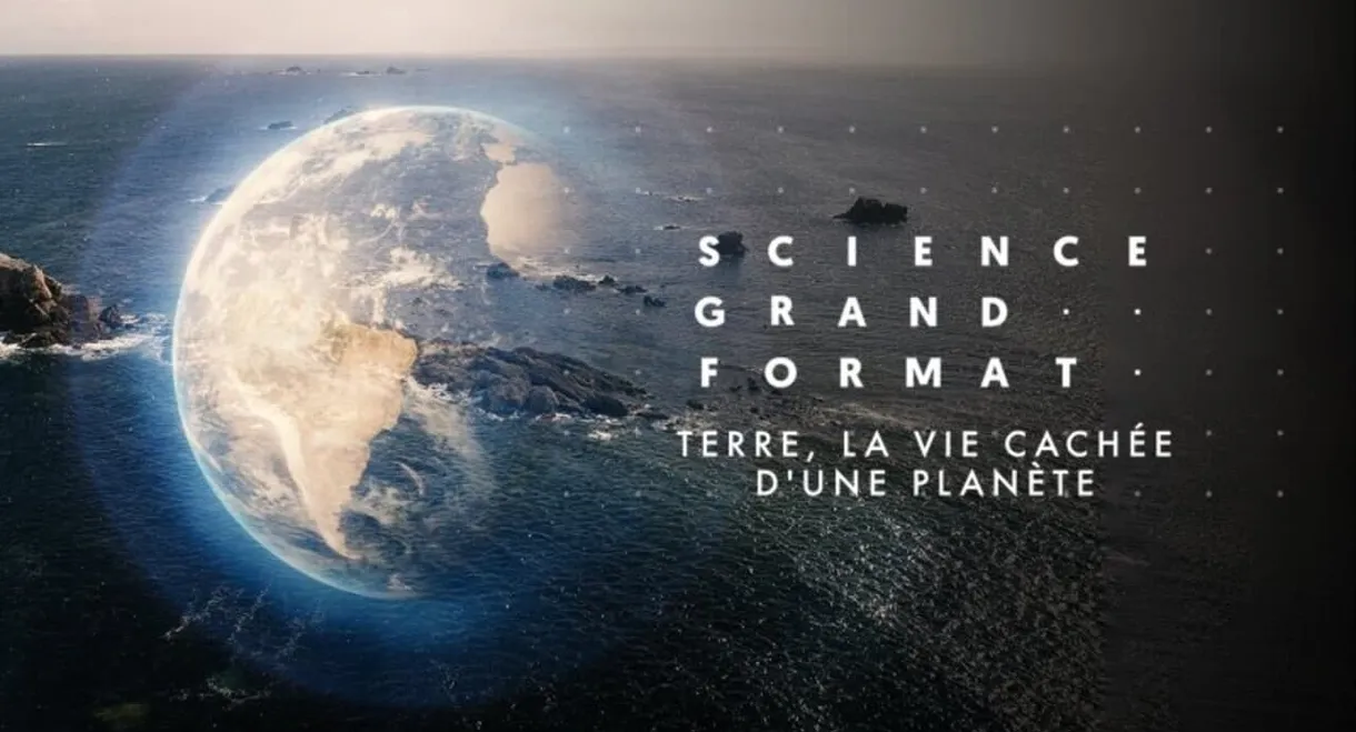 Terre, la vie cachée d'une planète