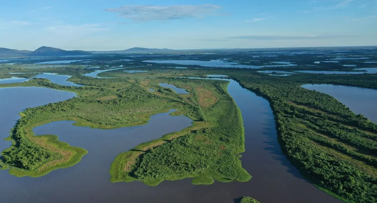 Naturwunder Pantanal - Brasiliens geheimnisvolle Wildnis