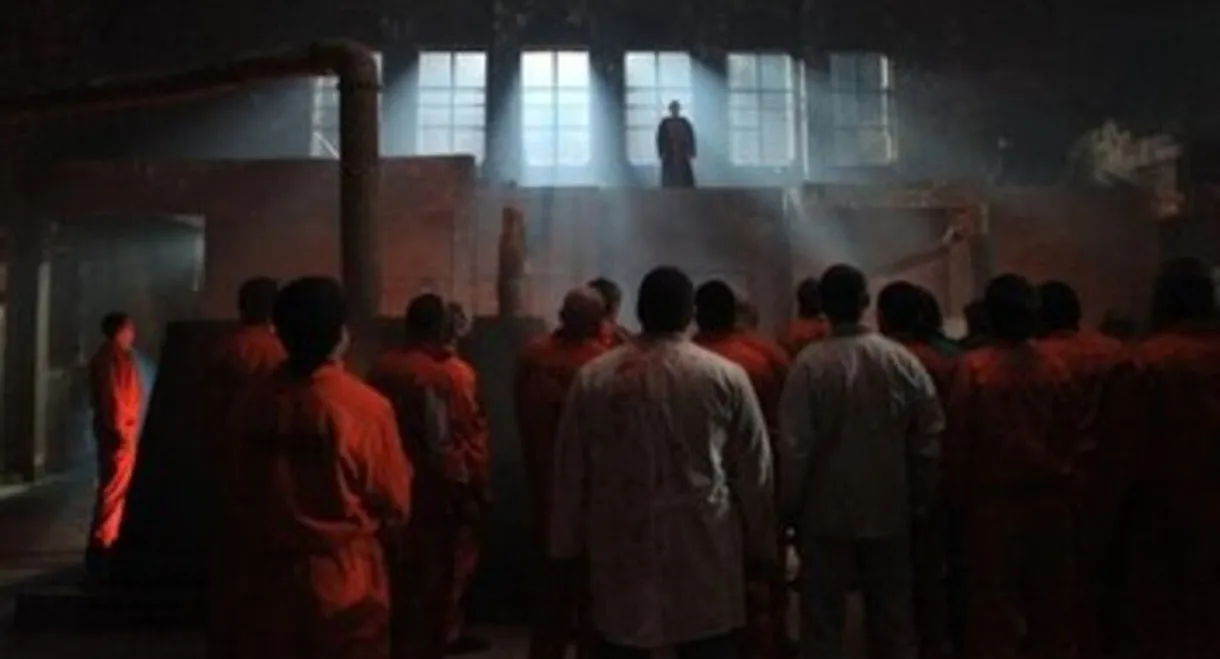 Asylum