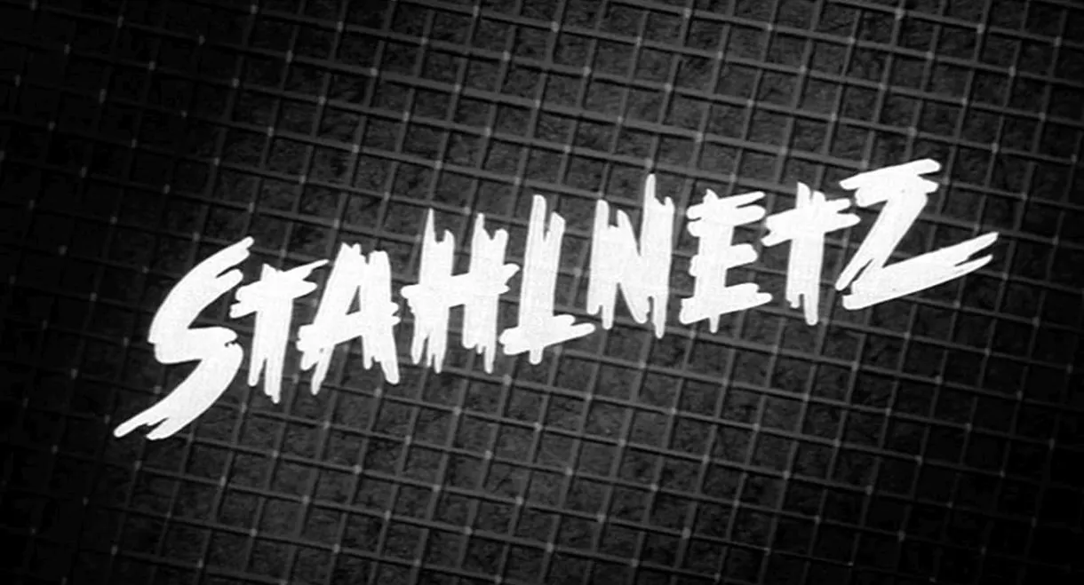 Stahlnetz