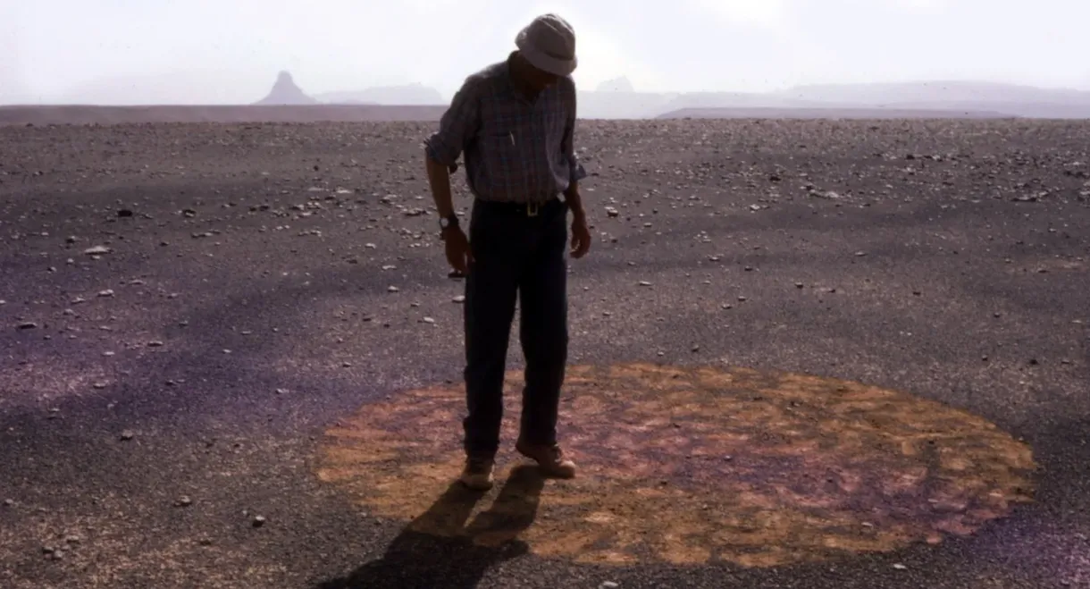 Stones and Flies: Richard Long in the Sahara
