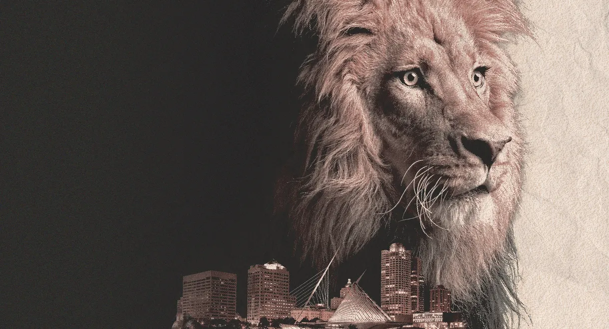 Urban Predator: Lion on the Loose