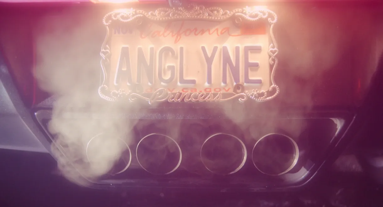 Amazing Angelyne