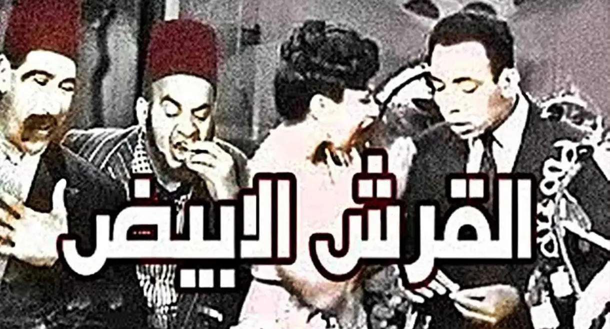 القرش الأبيض