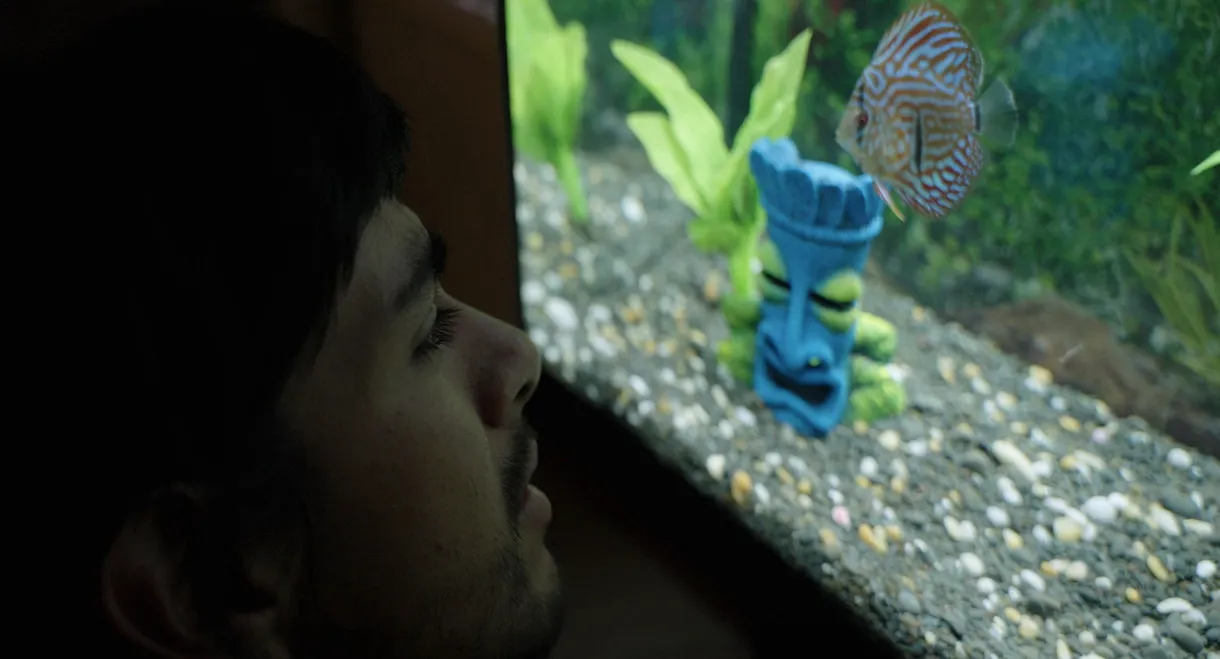 Notes from a Fish
