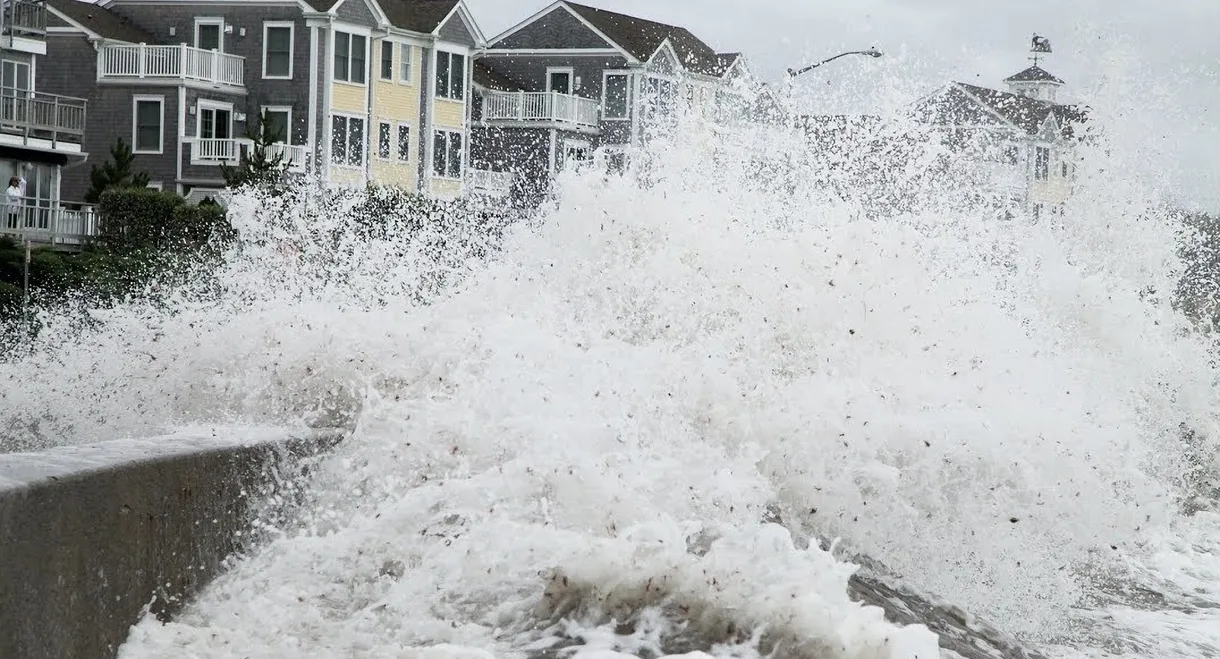 Tsunamis: Facing a Global Threat