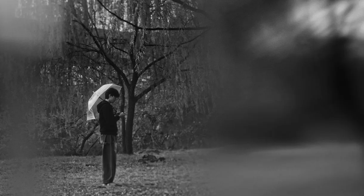 The Boy Who Fell to Earth