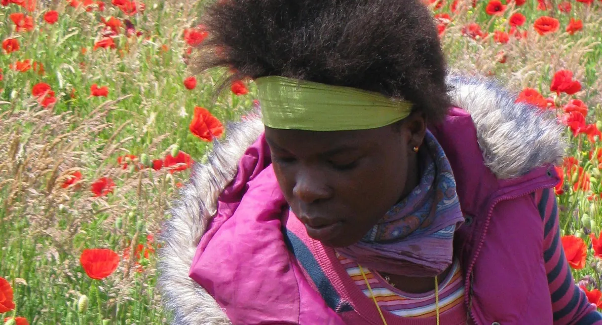 African Dream