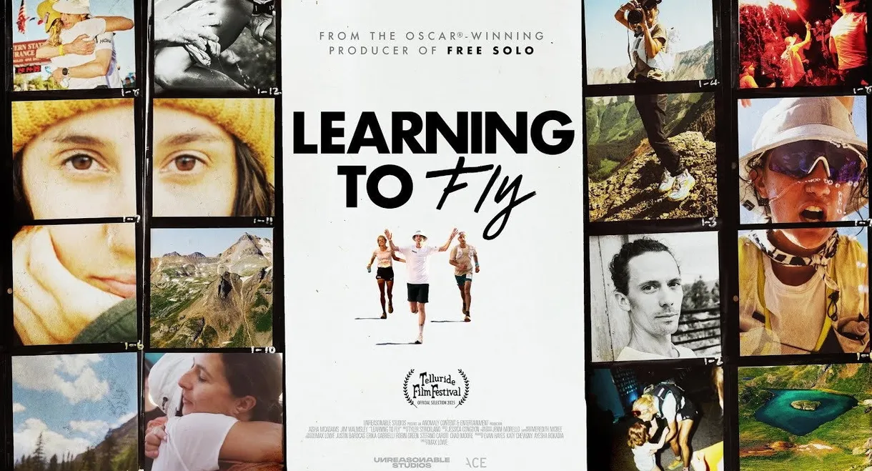 Learning to Fly