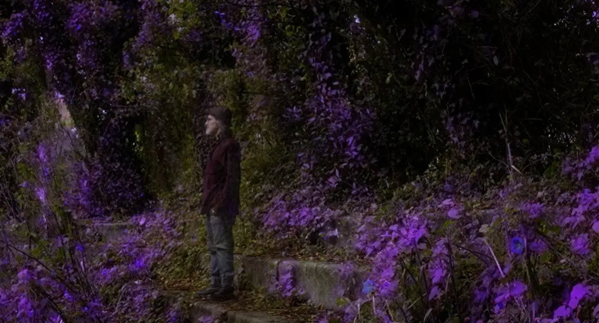 Ultraviolet