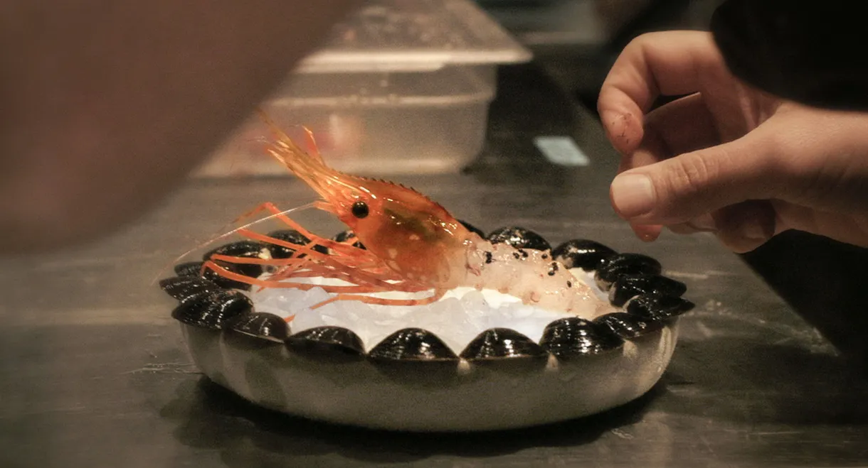 Ants on a Shrimp