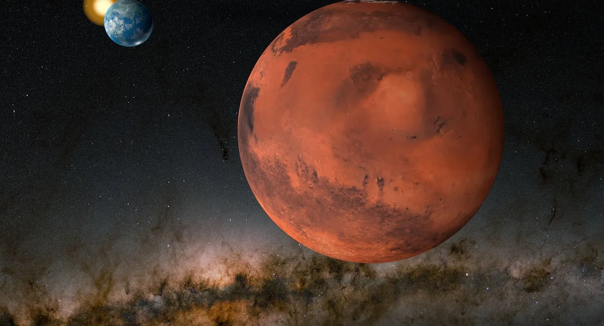 Musk's Dream of Mars: The Price on Earth