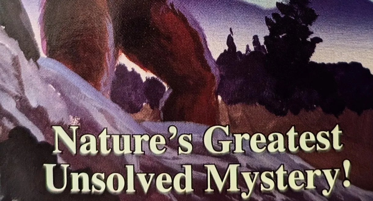 The Hunt for Bigfoot
