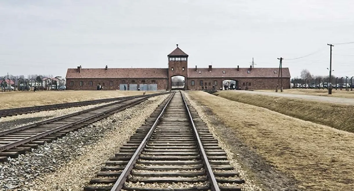 Auschwitz Projekt