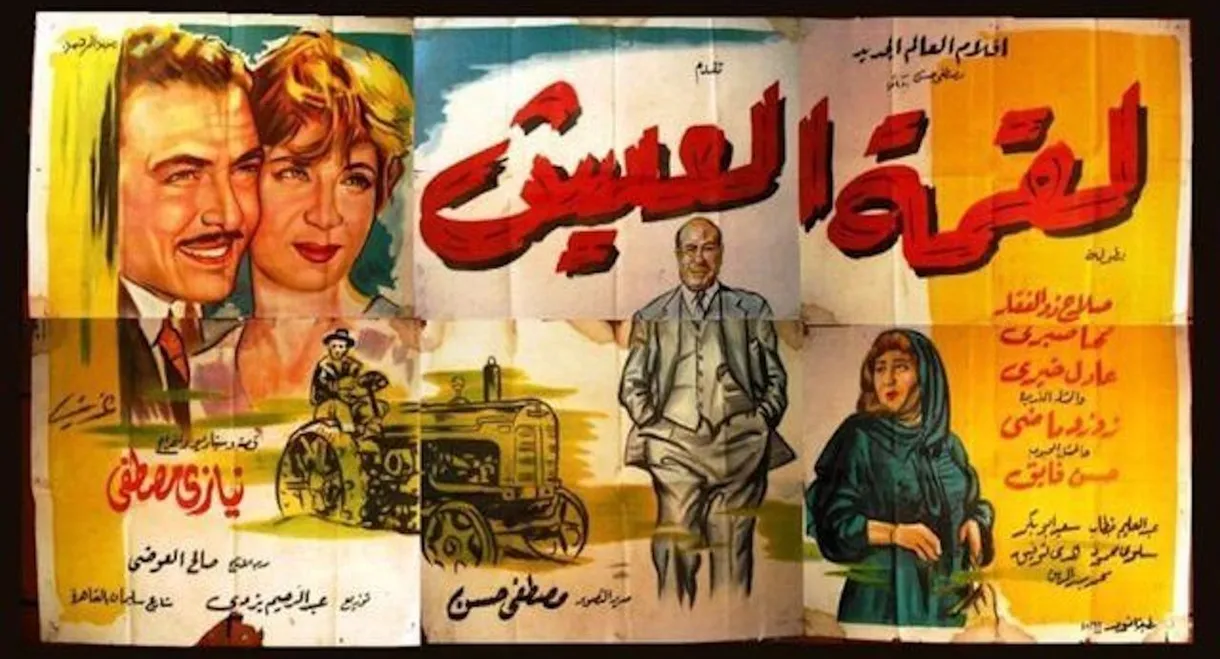 Liqimat Aleaysh