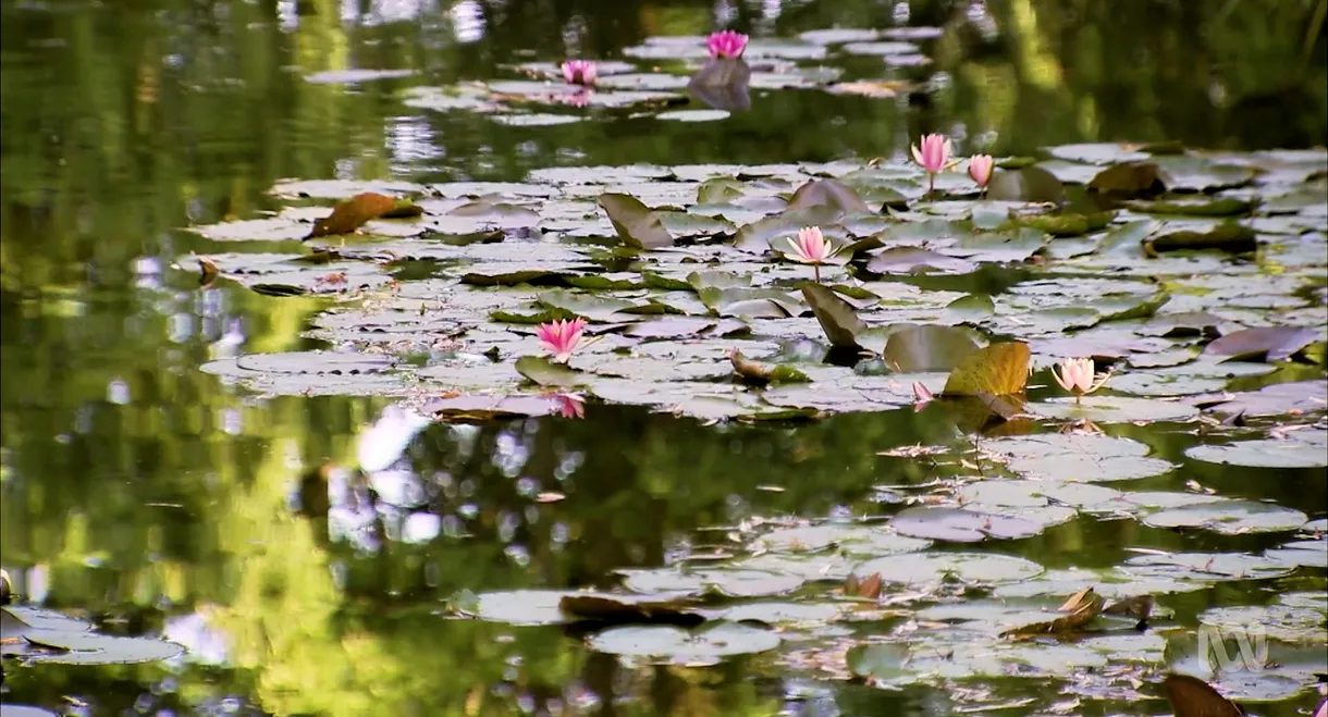 Monty Don's French Gardens