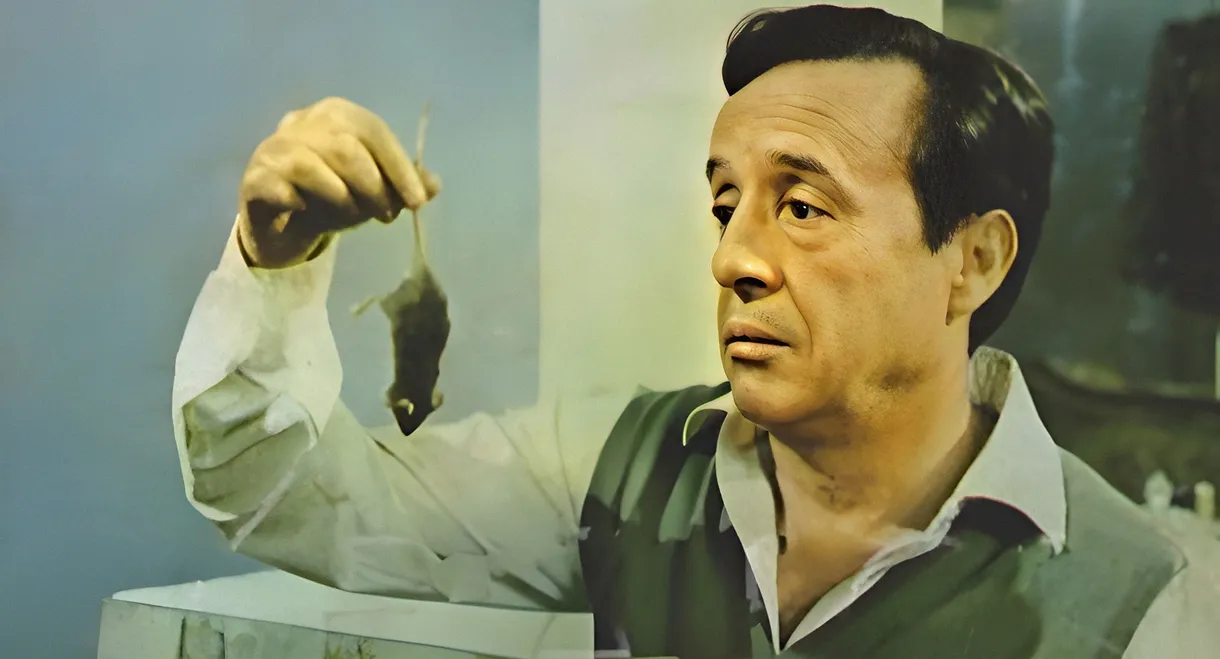 Don Ratón y Don Ratero