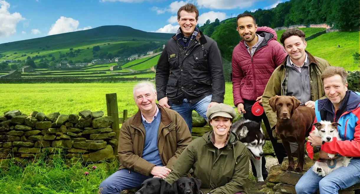 The Yorkshire Vet