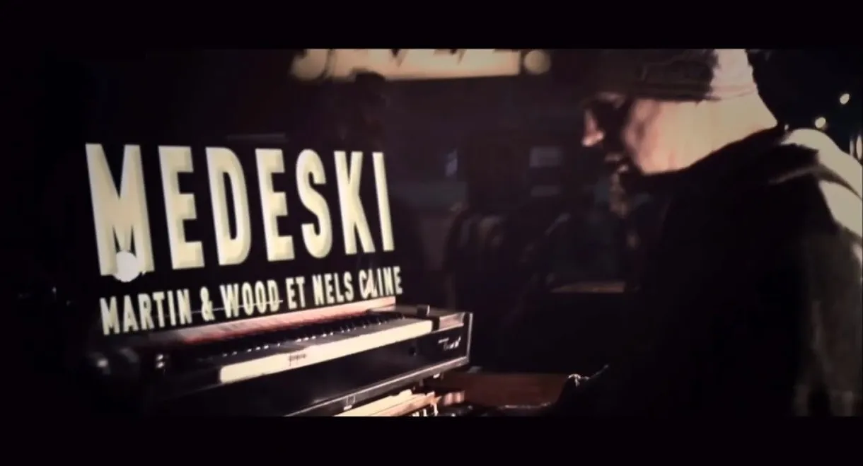 Medeski, Martin & Wood, Nels Cline - Cully Jazz Festival
