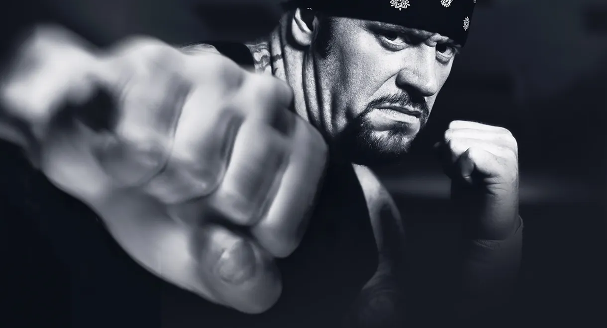 WWE Vengeance 2003