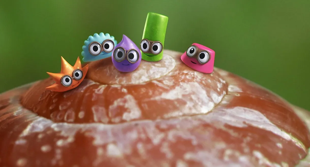 Tiny Wonders