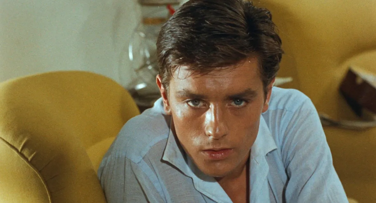 Purple Noon