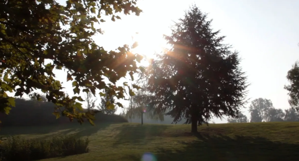 Warmth and Yearning