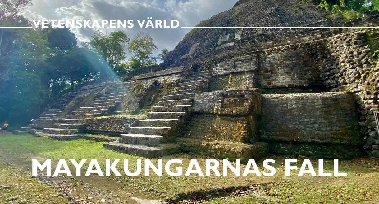 Mayakungarnas fall