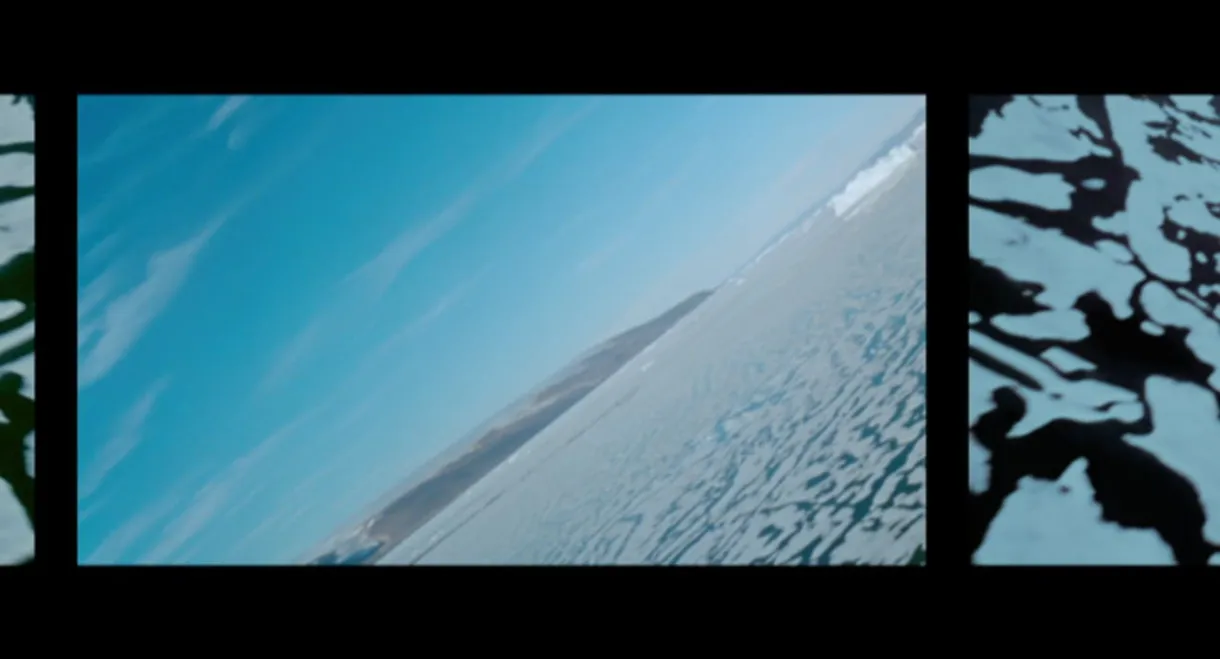 Polar Life
