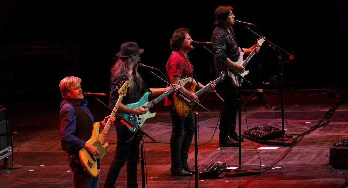 The Doobie Brothers - Let The Music Play