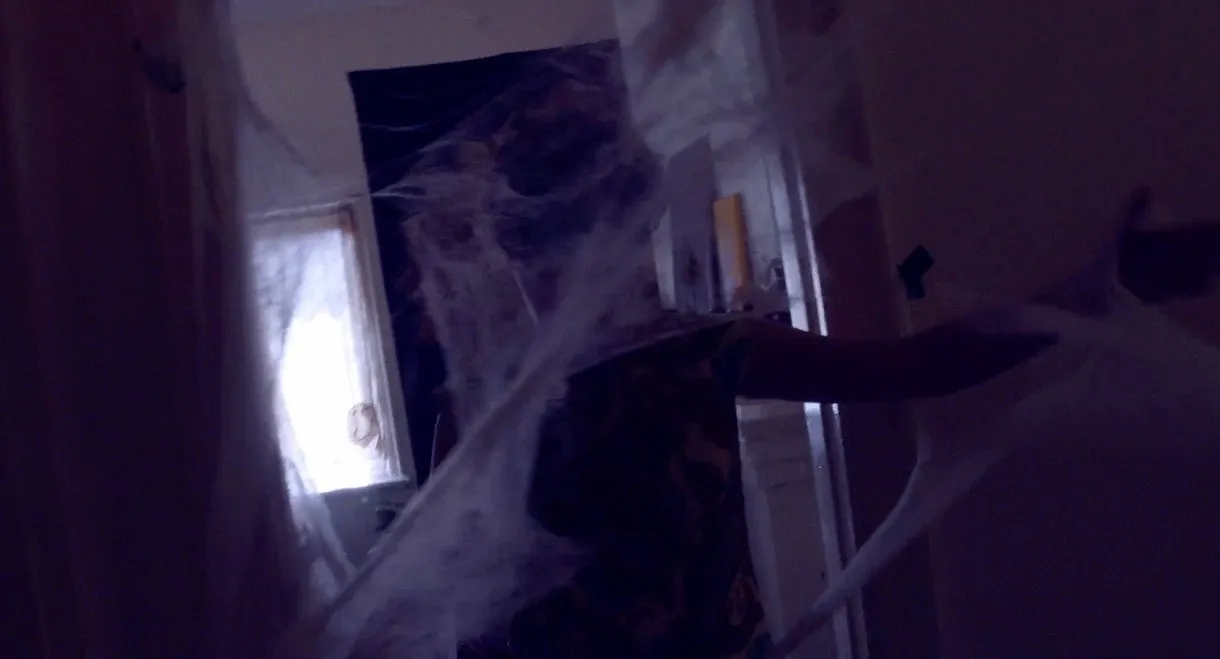 Along came a spider