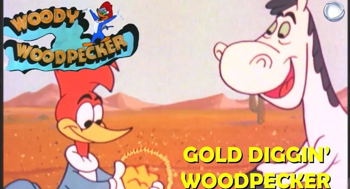 Gold Diggin' Woodpecker