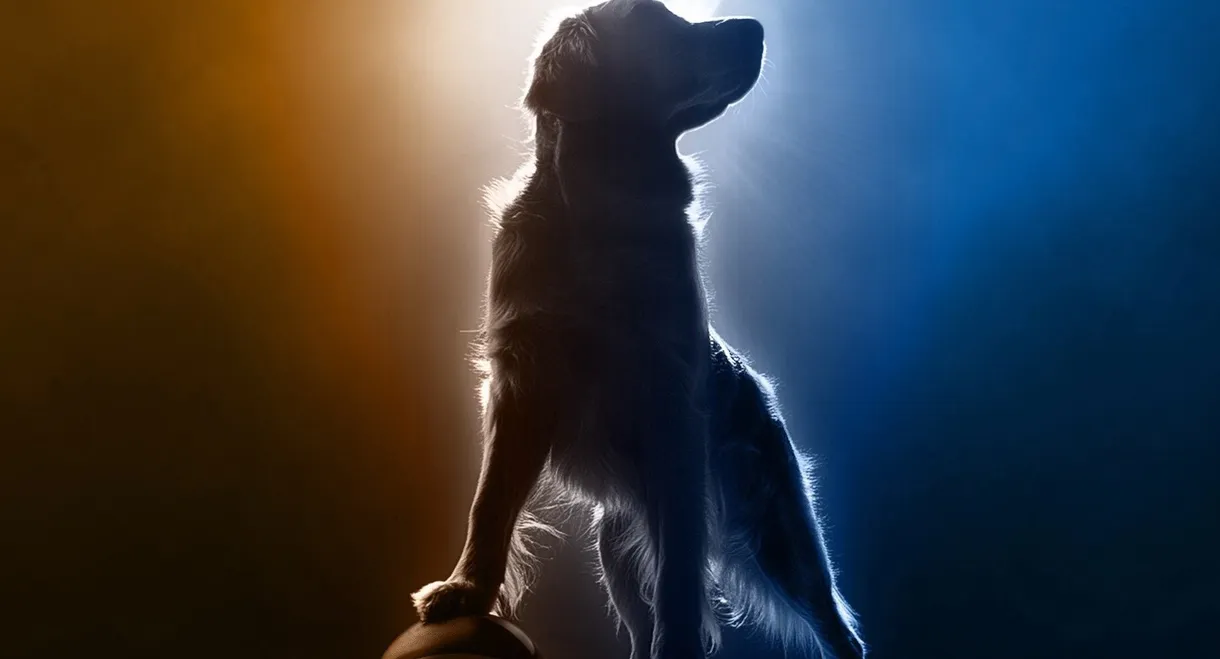 Air Bud Returns