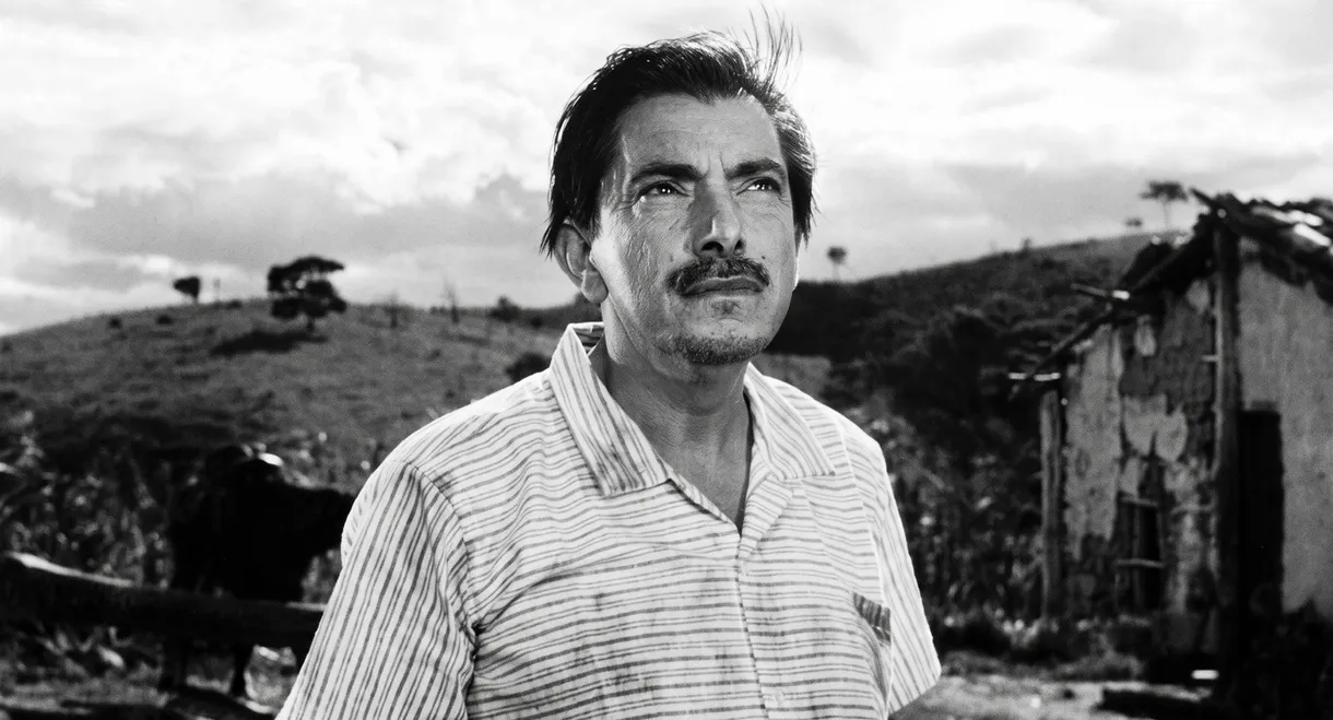 As Aventuras de Pedro Malasartes