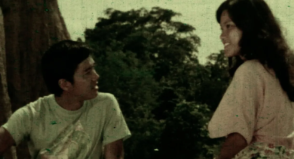 เพลงรักดอกไม้บาน