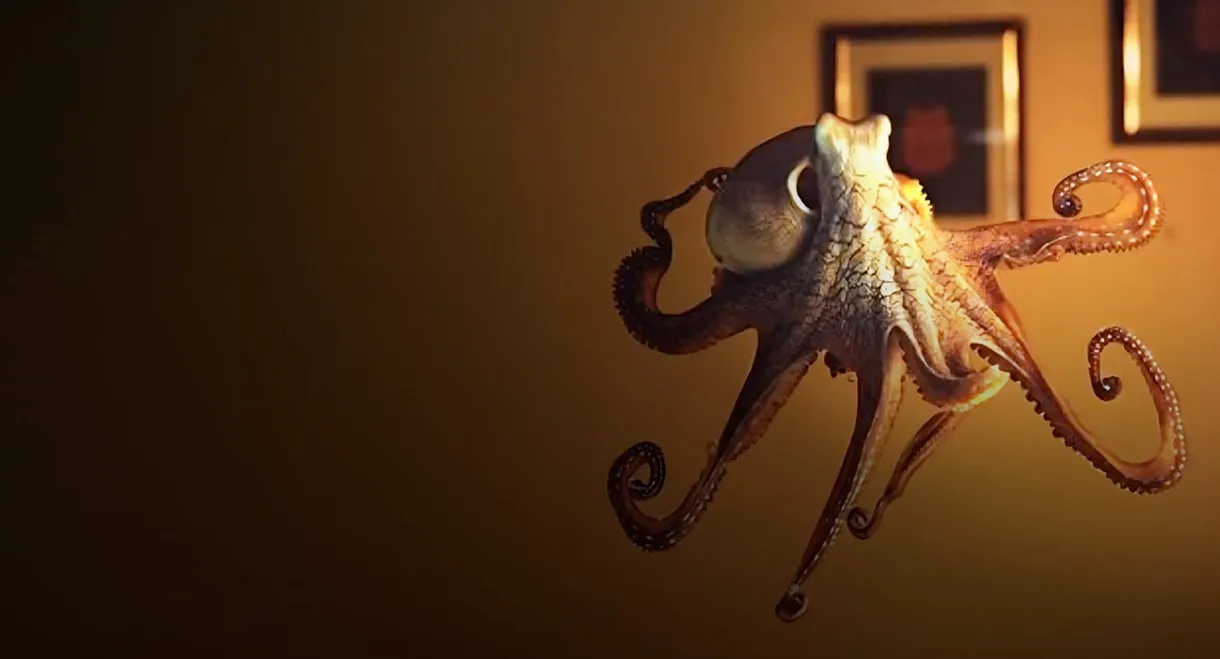 The Octopus in My House