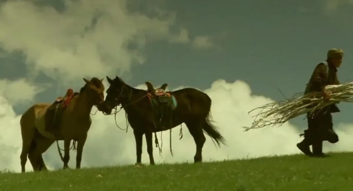 The Horse Trainer