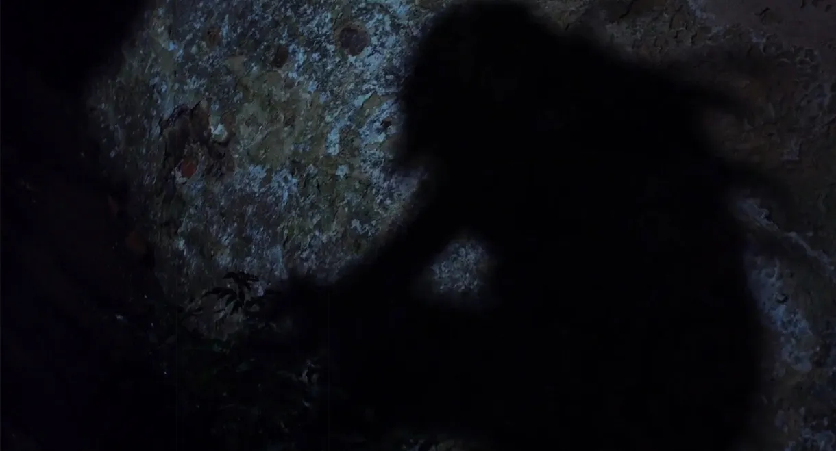 A Dark Path