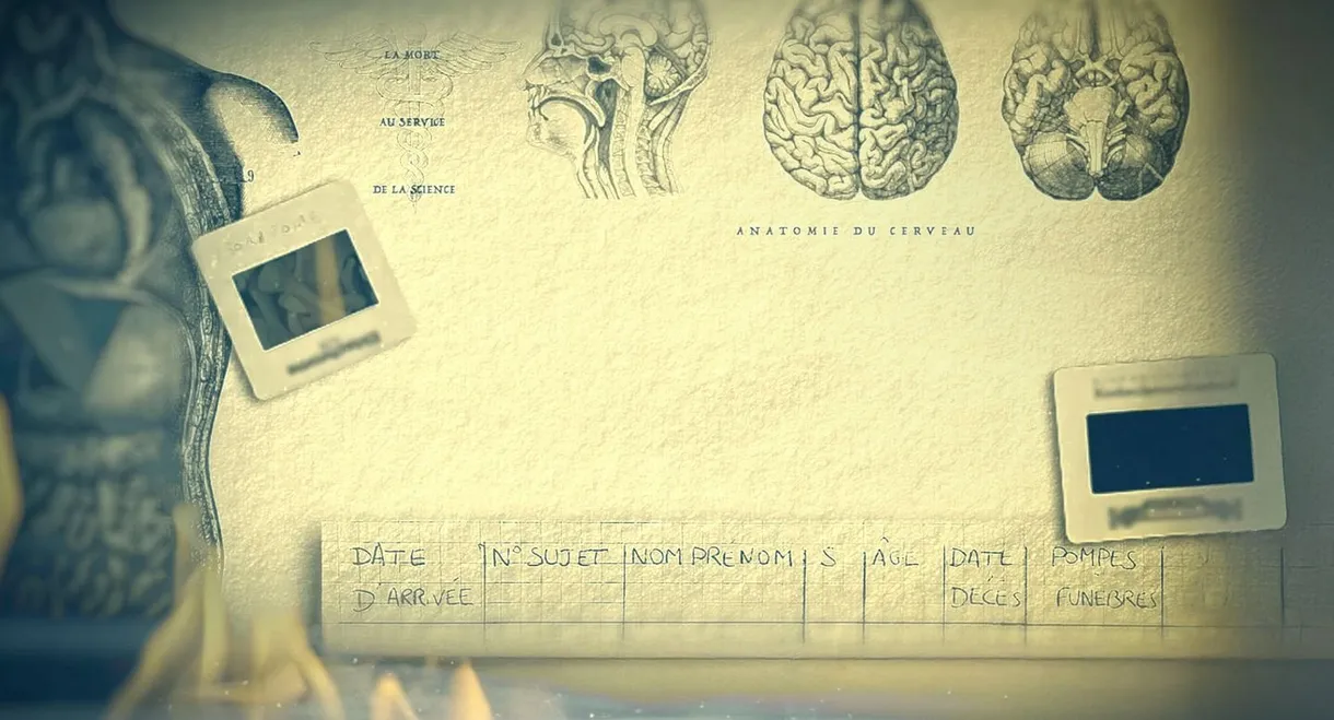 Paris Descartes - Anatomie d'un scandale