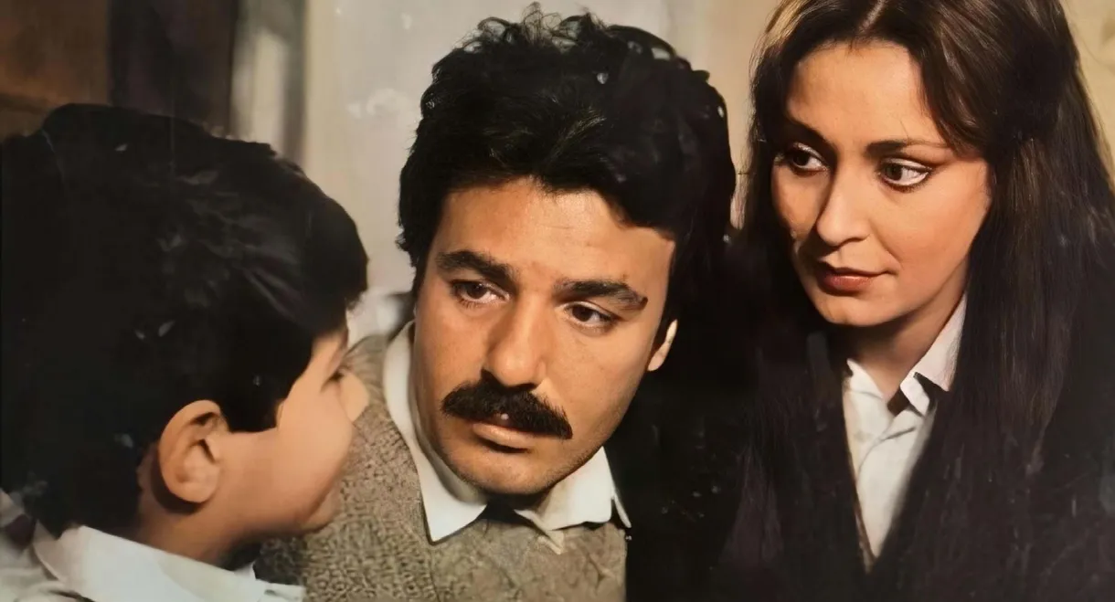 Her Şeyim Sensin