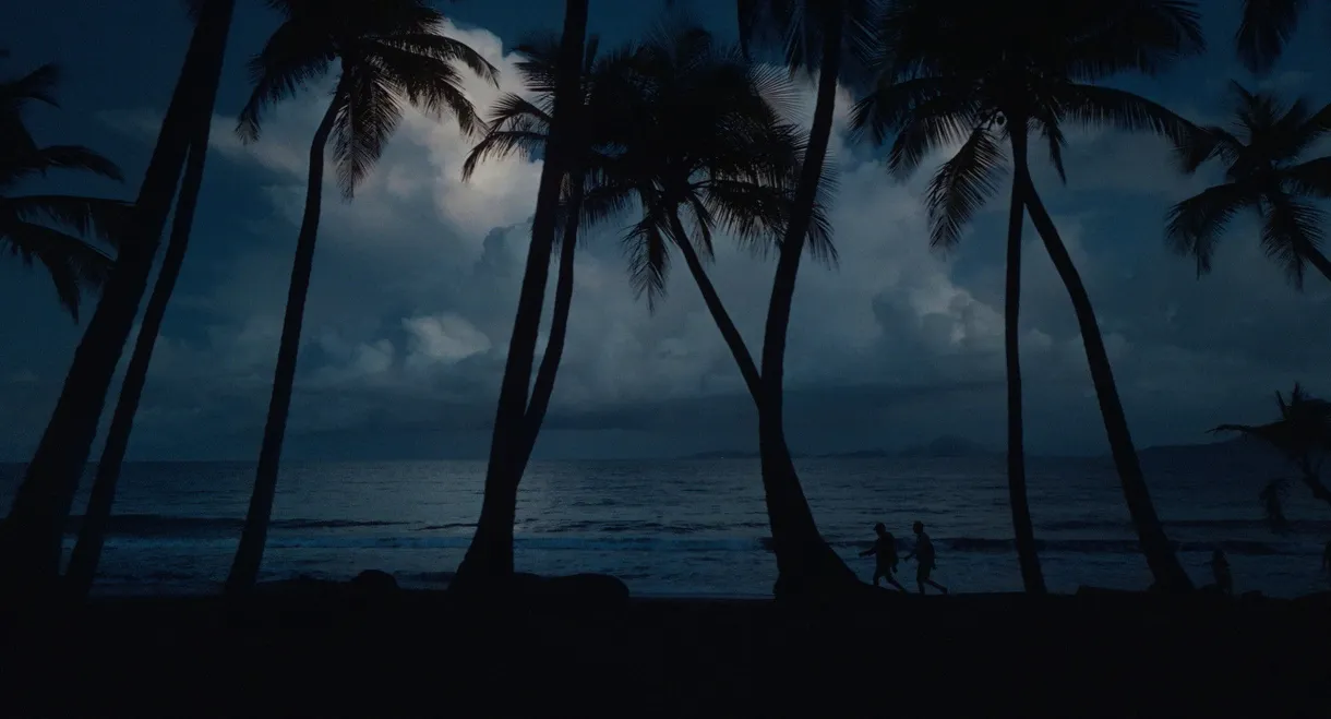 Fòs - Chronicle of Guadeloupean Fencing