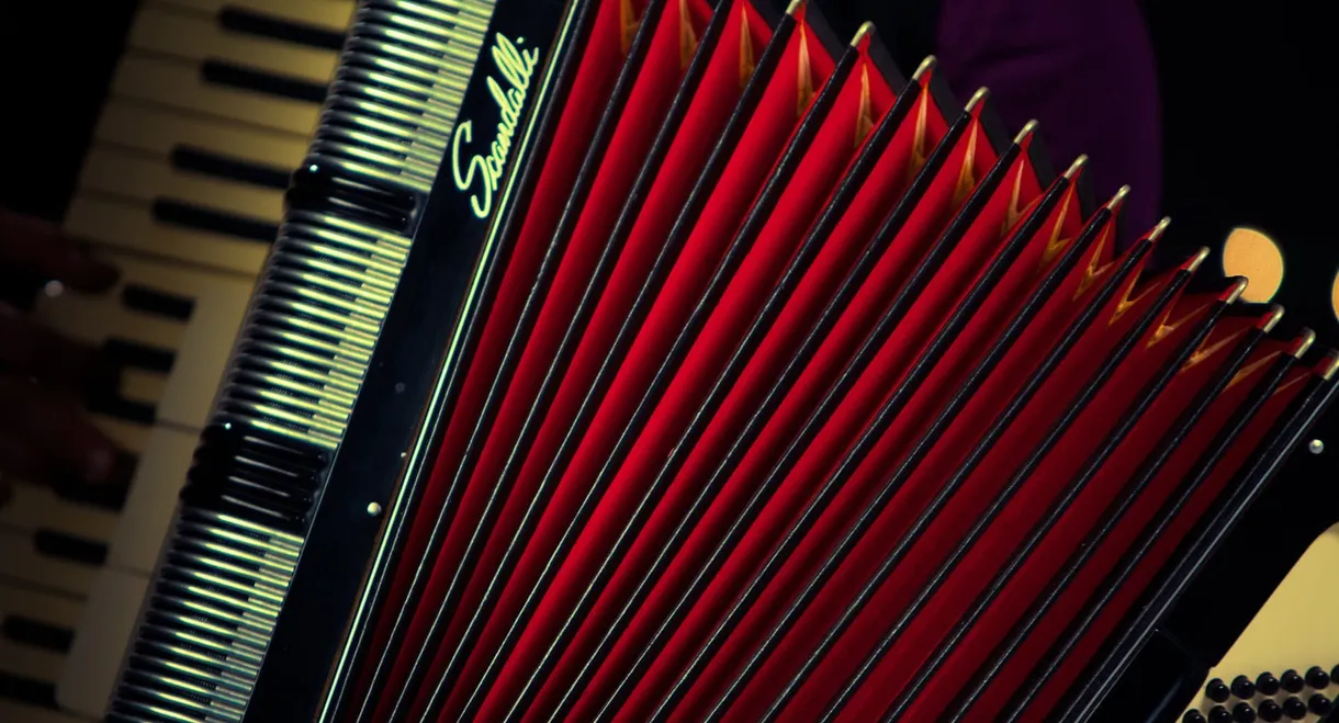 ‘Pedazo de acordeón’, un viaje a través de la historia del vallenato