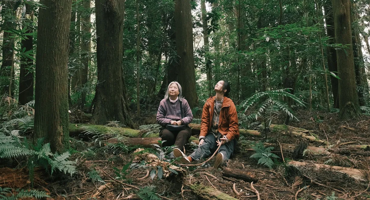 Crown Shyness