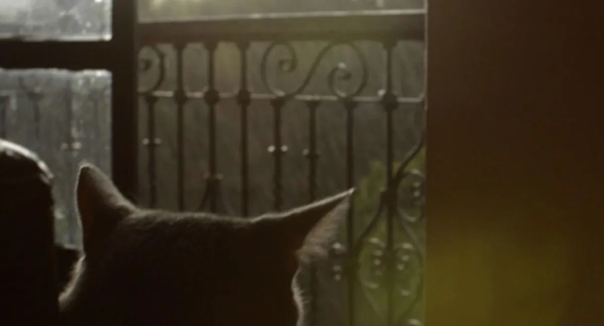 Cuando Está Lloviendo y Eso