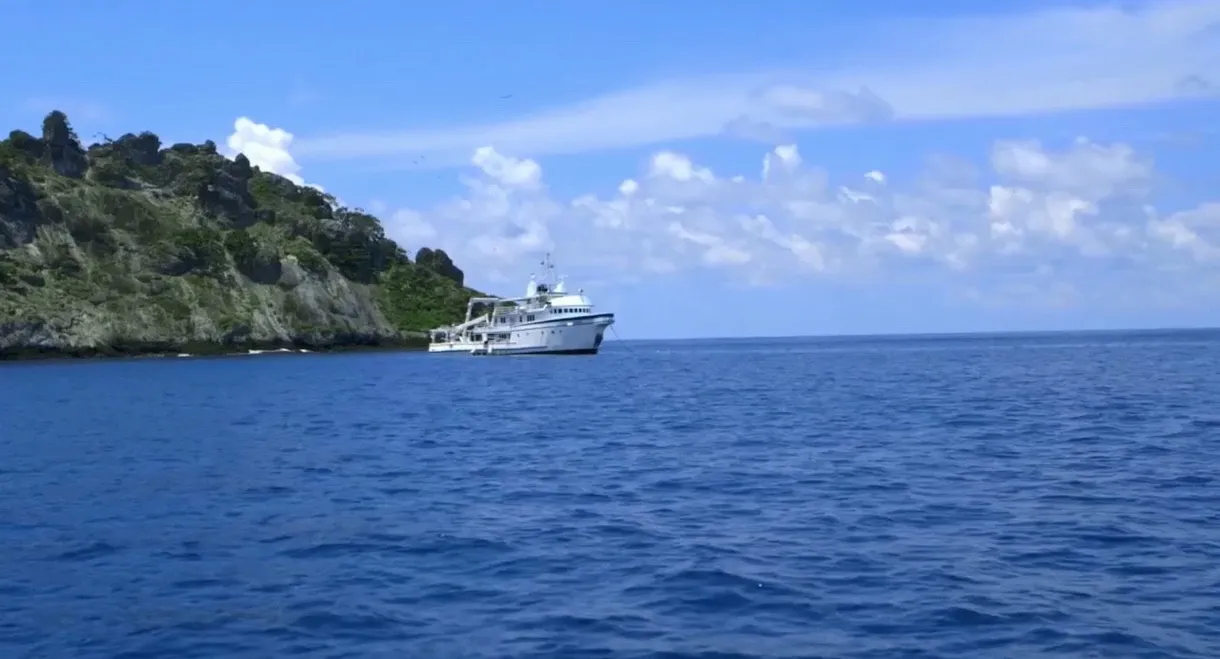 Shark Land: Welcome to Cocos Island