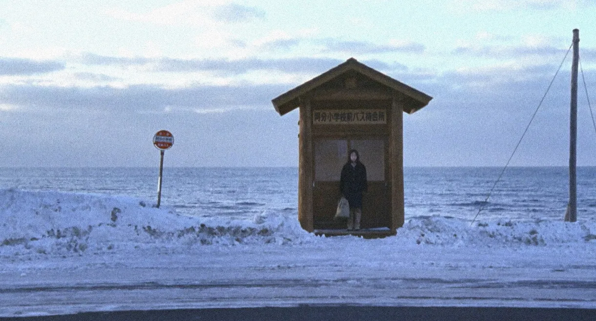 Man Walking on Snow