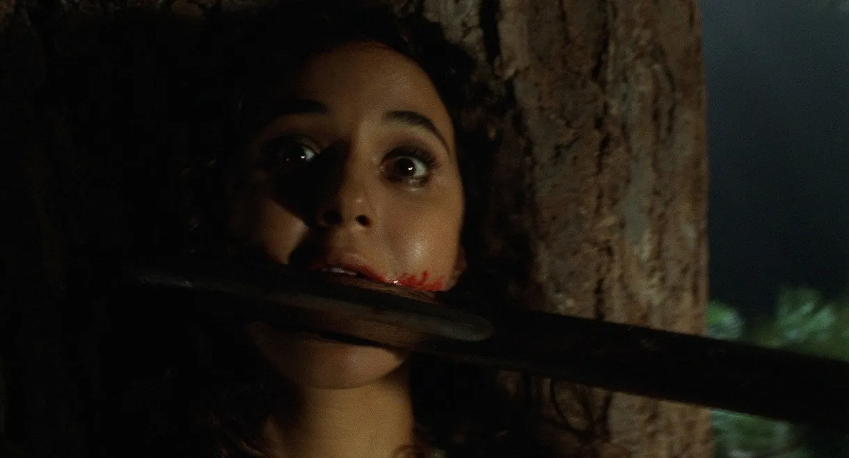 Wrong Turn