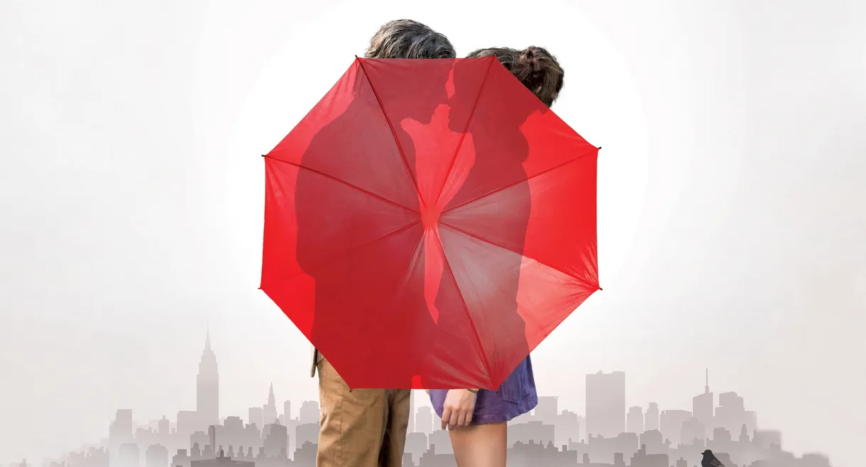 A Rainy Day in New York